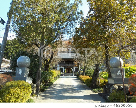 秩父札所十二番 野坂寺 46500050
