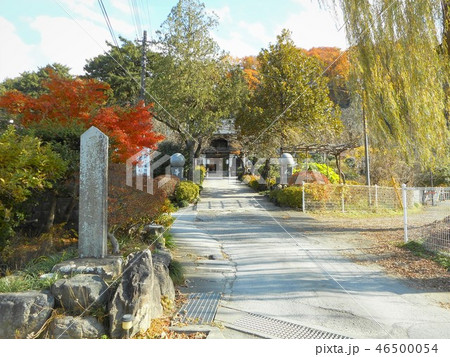 秩父札所十二番 野坂寺 秩父札所十二番 野坂寺 46500054