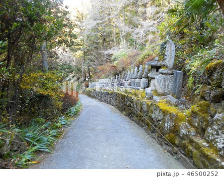 秩父札所三十四番 水潜寺 46500252