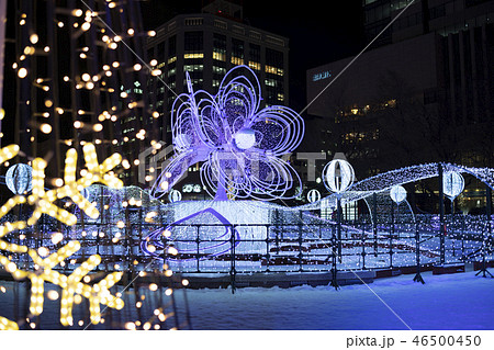 さっぽろホワイトイルミネーション 46500450