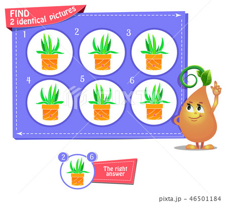 fnd 2 identical flower 46501184