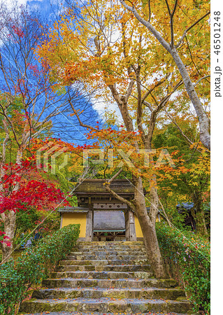 京都　秋の寂光院　山門 46501248