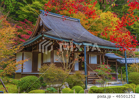 京都 秋の寂光院 本堂 京都 秋の寂光院 本堂 46501252