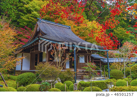 京都　秋の寂光院　本堂 46501257