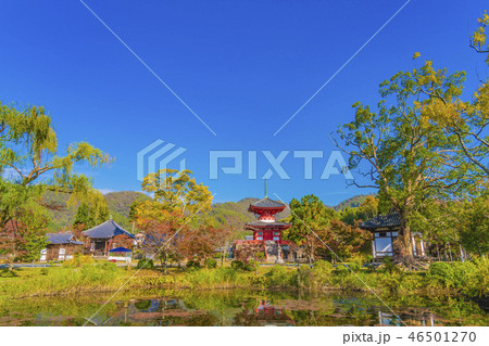京都　秋の大覚寺 心経宝塔 46501270