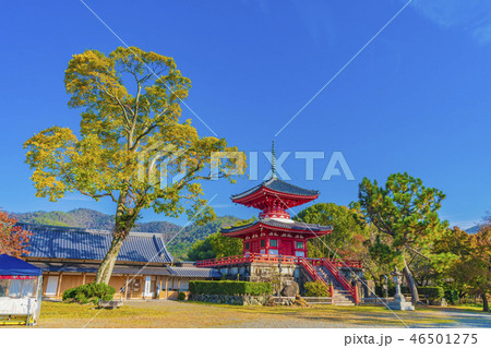 京都　秋の大覚寺 心経宝塔 46501275