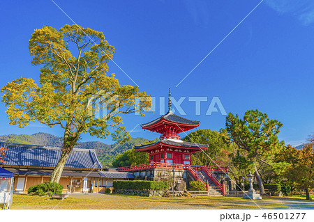 京都　秋の大覚寺 心経宝塔 46501277