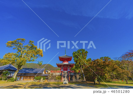 京都　秋の大覚寺 心経宝塔 46501280