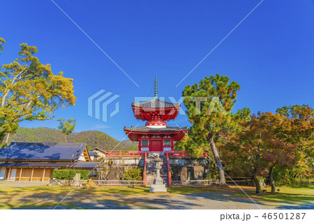 京都　秋の大覚寺 心経宝塔 46501287