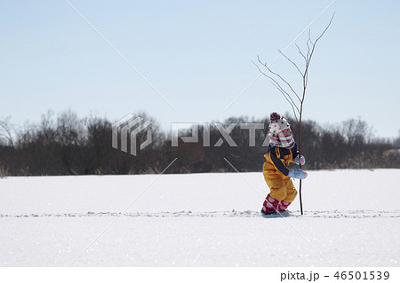 雪原で遊ぶ子供 雪原で遊ぶ子供 46501539