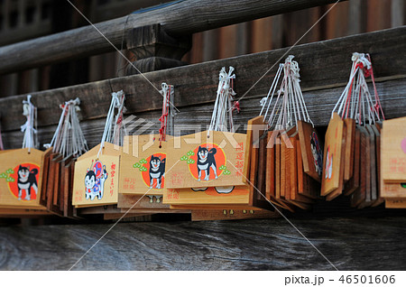 池田八坂神社の戌年絵馬-4 46501606