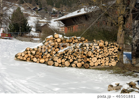 A Stack of Firewood 46501881