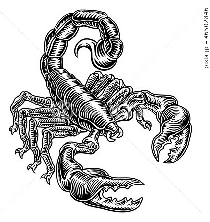 Scorpion Scorpio Zodiac Sign Woodcut Designのイラスト素材