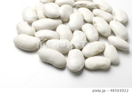 白いんげん豆 46503022