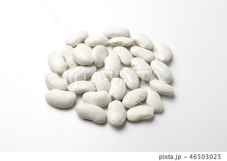 白いんげん豆 白いんげん豆 46503025