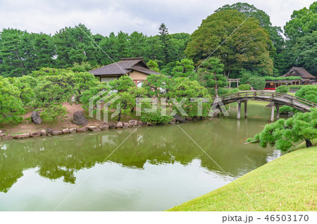 後楽園 中の島と沢の池の風景 後楽園 中の島と沢の池の風景 46503170