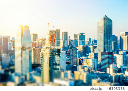 tokyo skyline aerial view with tilt shift effect 46503358