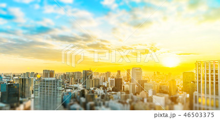 tokyo skyline aerial view with tilt shift effect 46503375