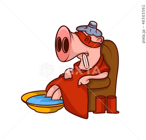 Sick pig sitting in armchair wrapped in his superhero mantle. Humanized animal feeling unhealthy 46503561