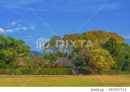 京都　嵐山　秋の落柿舎 46503712