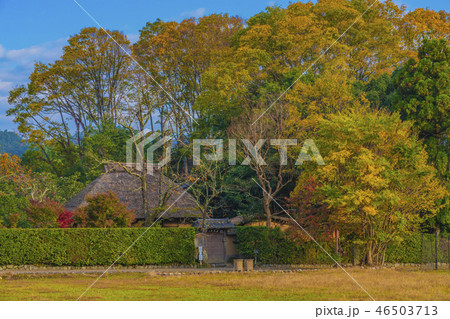 京都　嵐山　秋の落柿舎 46503713