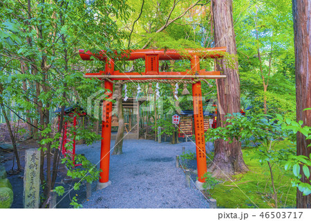 京都 嵐山 野宮神社 白福稲荷大明神 鳥居 京都 嵐山 野宮神社 白福稲荷大明神 鳥居 46503717