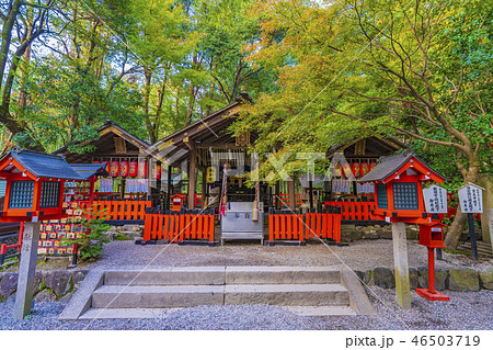 京都 嵐山 野宮神社 本殿 京都 嵐山 野宮神社 本殿 46503719