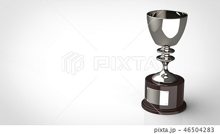 シルバートロフィー　右 46504283
