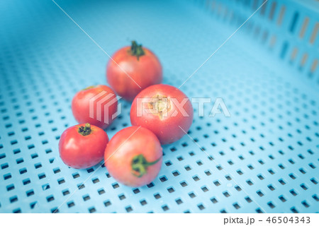 image photo image photo 46504343