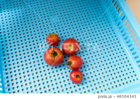 image photo 46504345