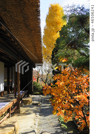 12月 日野28紅葉の松連庵・京王百草園 12月 日野28紅葉の松連庵・京王百草園 46506241