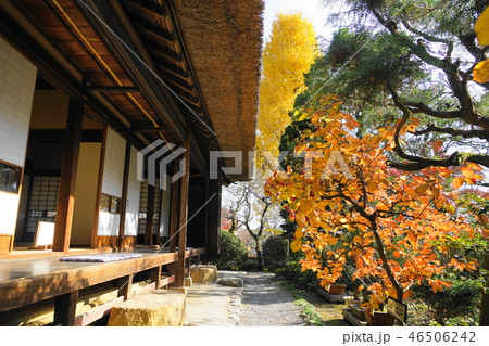 12月　日野27紅葉の松連庵･京王百草園 46506242