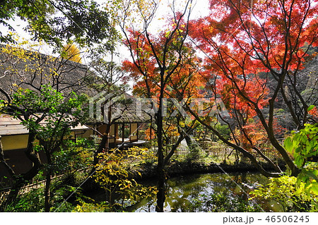 12月 日野24紅葉の松連庵 京王百草園の写真素材