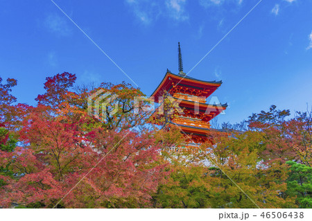 京都　秋の清水寺　三重塔 46506438