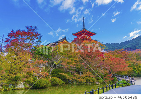 京都　秋の清水寺　三重塔 46506439