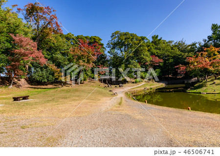 秋の飛梁渓 武蔵野 玄宮園 秋の飛梁渓 武蔵野 玄宮園 46506741