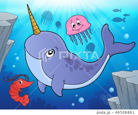 Narwhale theme image 2 46506861