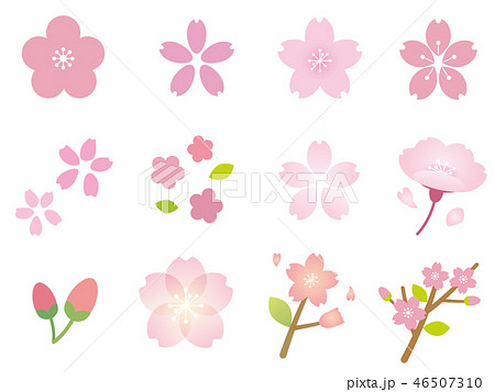 綺麗な桜の花イラストセットのイラスト素材