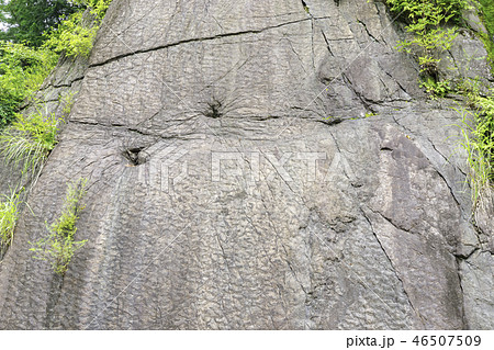 群馬　神流町　瀬林の漣痕　恐竜の足跡 46507509