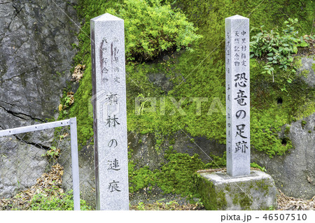 群馬 神流町 瀬林の漣痕 恐竜の足跡 群馬 神流町 瀬林の漣痕 恐竜の足跡 46507510