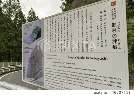 群馬 神流町 瀬林の漣痕 恐竜の足跡 群馬 神流町 瀬林の漣痕 恐竜の足跡 46507513