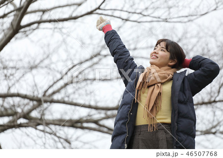 冬の公園を歩く女性 46507768