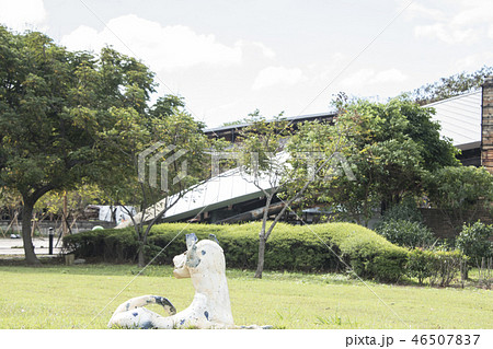 新北市 陶器 陶製 46507837