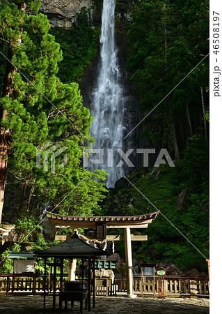 和歌山県那智勝浦町　那智滝 46508197