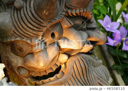 奇跡の星の植物館　三面鬼瓦 46508510