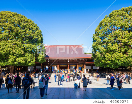 明治神宮　本殿 46509072