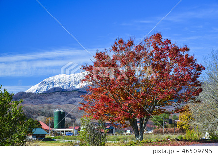 紅葉の蒜山と大山の写真素材