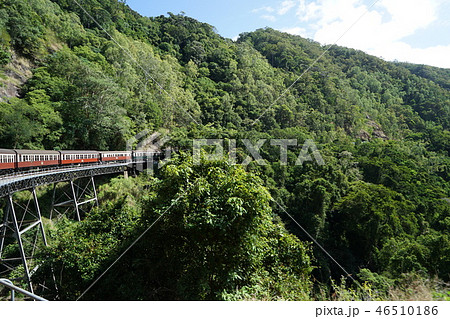 キュランダ 熱帯 雨林 シーニックレールウェイ 鉄道 鉄橋 崖 キュランダ 熱帯 雨林 シーニックレールウェイ 鉄道 鉄橋 崖 46510186