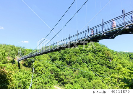 鬼の舌震の舌震恋吊橋 46511879