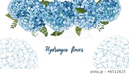Summer botanical vector design banner. hand drawing . Light blue hydrangea. Natural card or frame 46512625